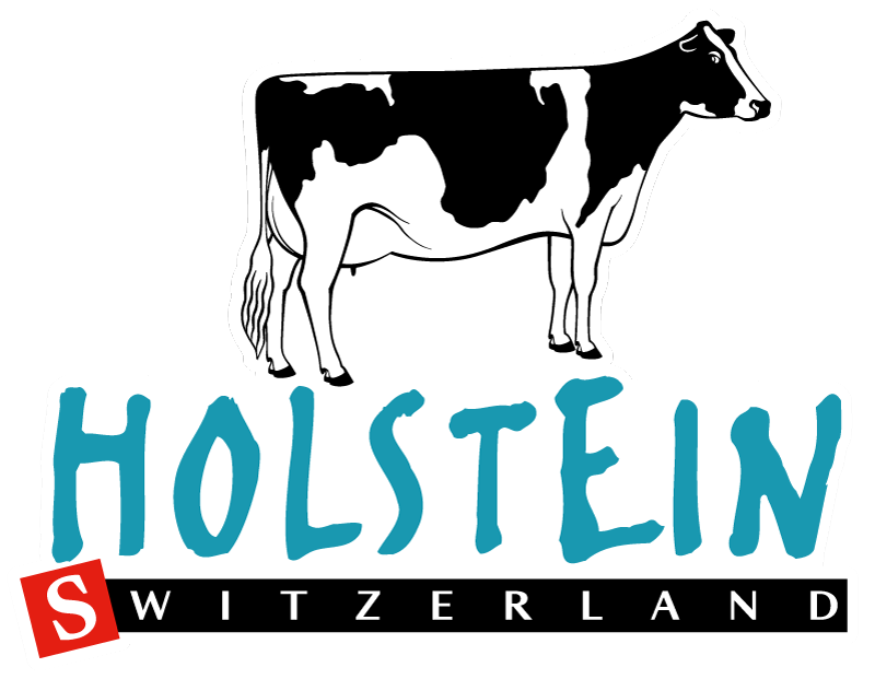 Holstein Switzerland