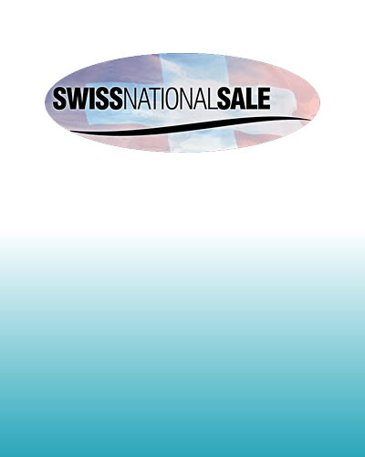 Swiss National Sale 2024 Holstein Switzerland   SwissNationalSale 