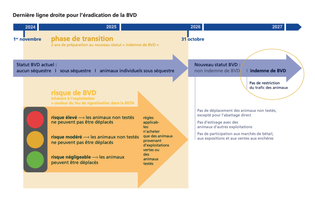 Derniere ligne doite eradication BVD en Suisse