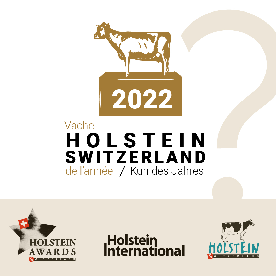 Vache Holstein Switzerland de l'année Kuh des Jahres